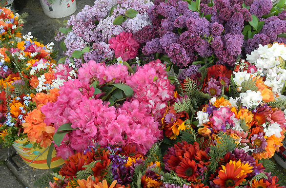 Flores en el mercado del puerto - Valdivia
