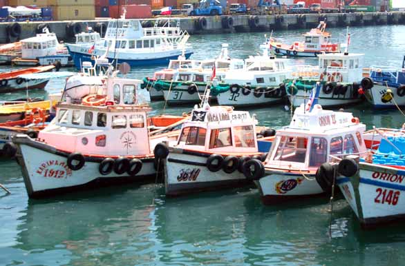 Puerto pesquero - Valparaiso
