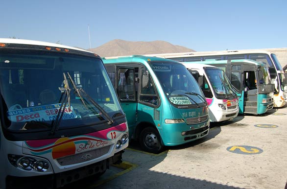 Buses chilenos - Vicuña
