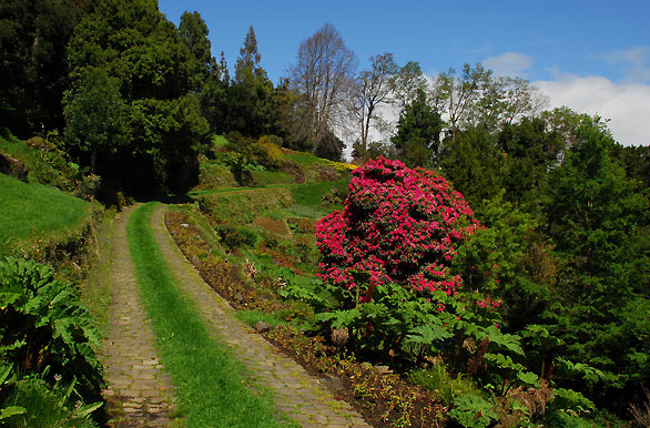 Florido jardín - Villarrica